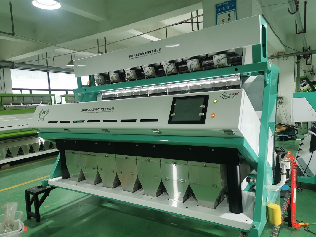 Wenyao Grão de café avelã cardamomo Processamento máquina de triagem de cores Fábrica máquina de triagem de cores