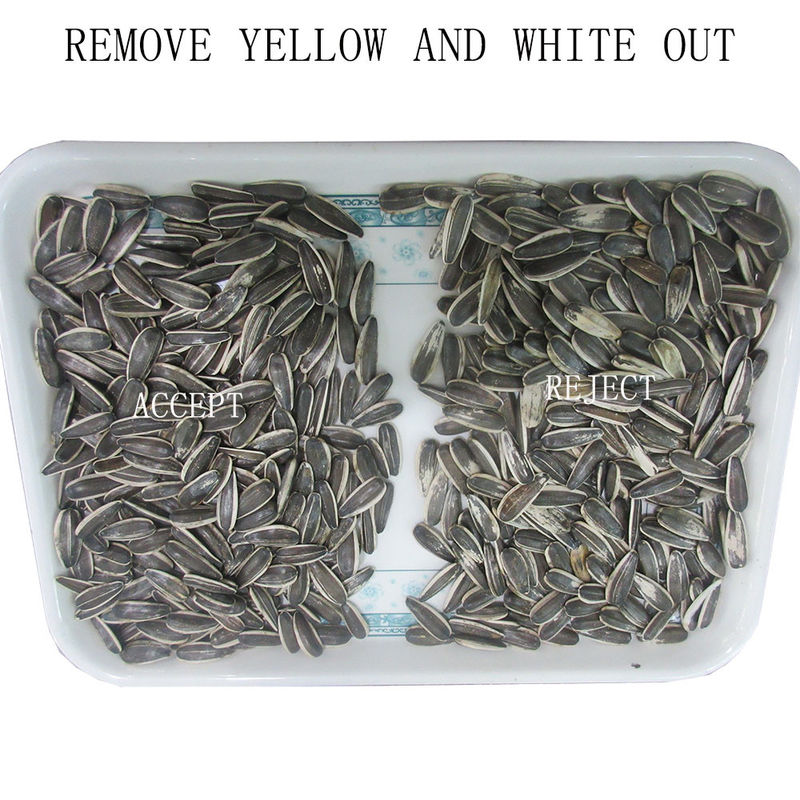 Classificador Óptico de Cor de Sementes de Girassol e Abóbora com Controle Remoto Wifi Wenyao, com 2 Anos de Garantia e Válvula Solenoide para Processamento Industrial