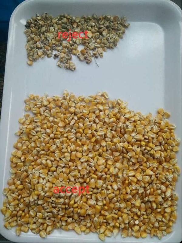 Máquina de classificação de cor de sementes de quinoa Grãos longos Arroz cozido Color Sorter Optical Seeds Color Selector