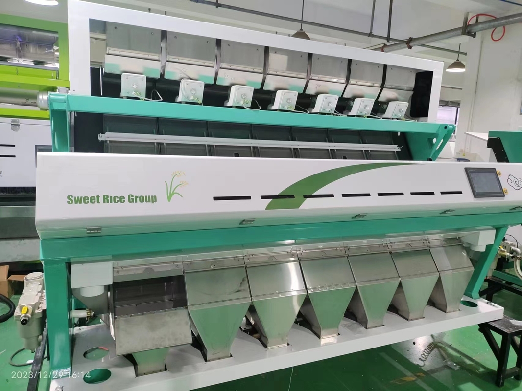 Máquina de classificação de cores de sementes WENYAO com 99,99% de precisão de classificação