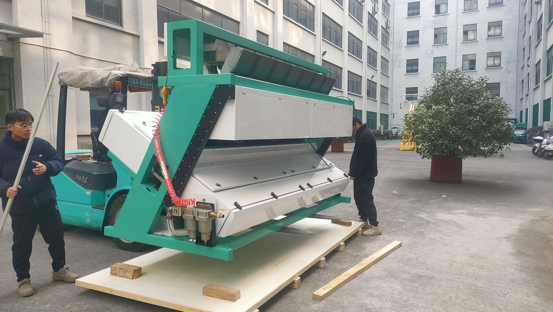 Máquina de classificação de cores de sementes WENYAO com 99,99% de precisão de classificação