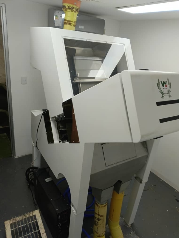 Wenyao 1 Chute Fruit Color Sorter Sea Buckthorn Color Sorting Machine (Machina de classificação de cores de espinhos marinhos)