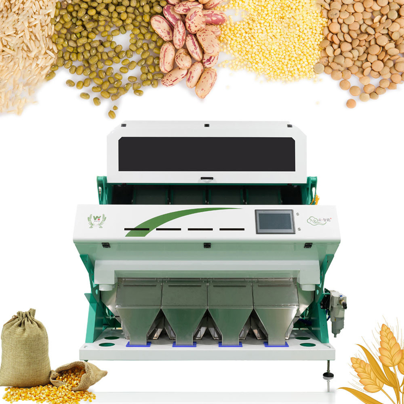 Empresa Máquina de classificação de grãos de arroz Máquina de classificação de cores Wenyao Novo produto 2025 Personalizar Fornecido CCD Classificação automática