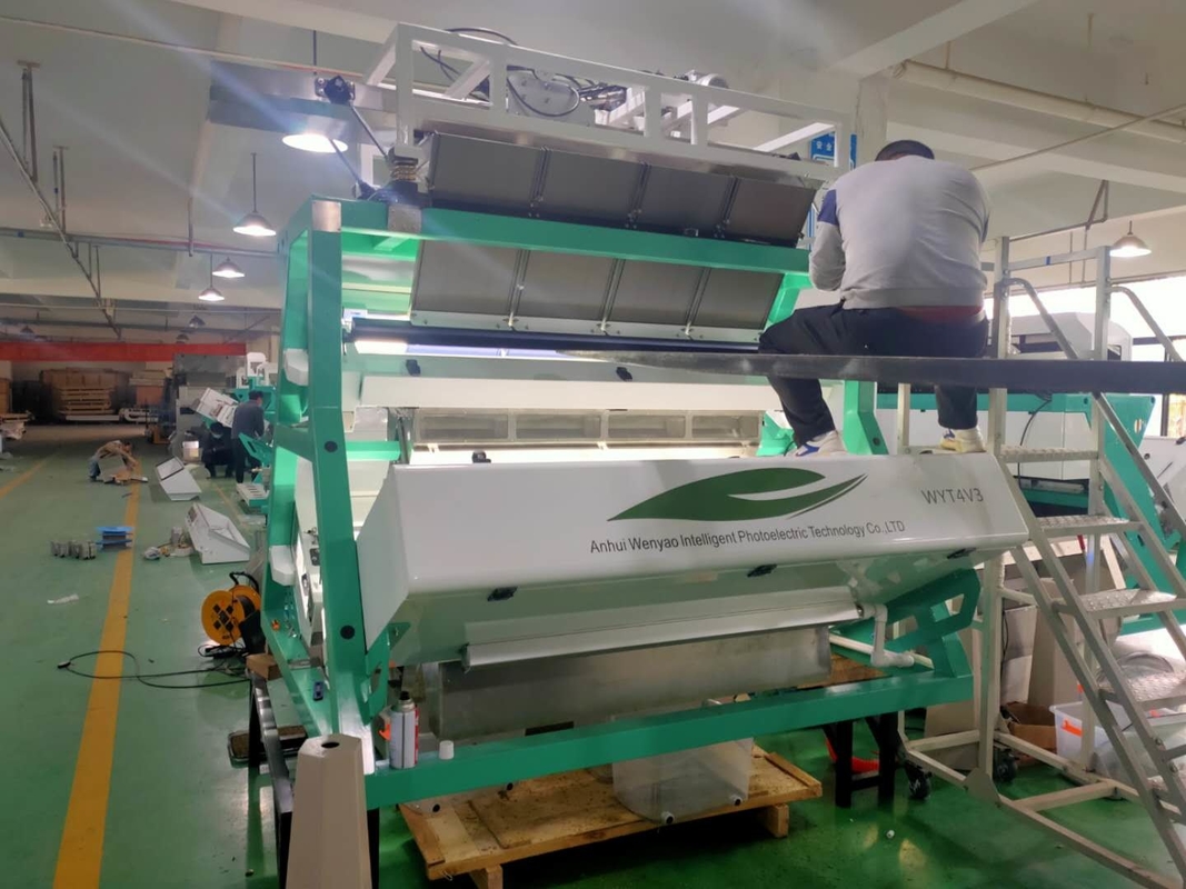 Wenyao CCD máquina de classificação de chá para chá preto máquina de classificação de cor de chá verde remover impurezas de ramos de folhas de chá