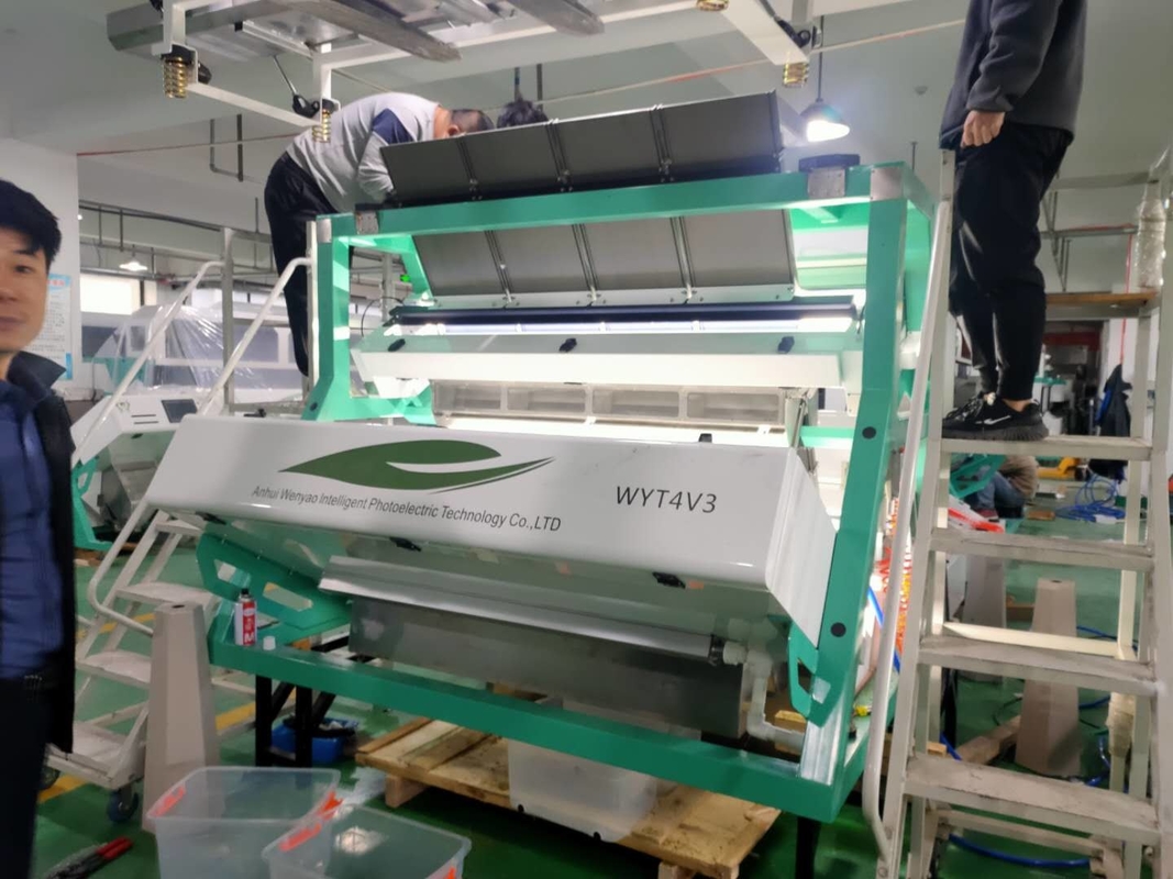 Wenyao CCD máquina de classificação de chá para chá preto máquina de classificação de cor de chá verde remover impurezas de ramos de folhas de chá