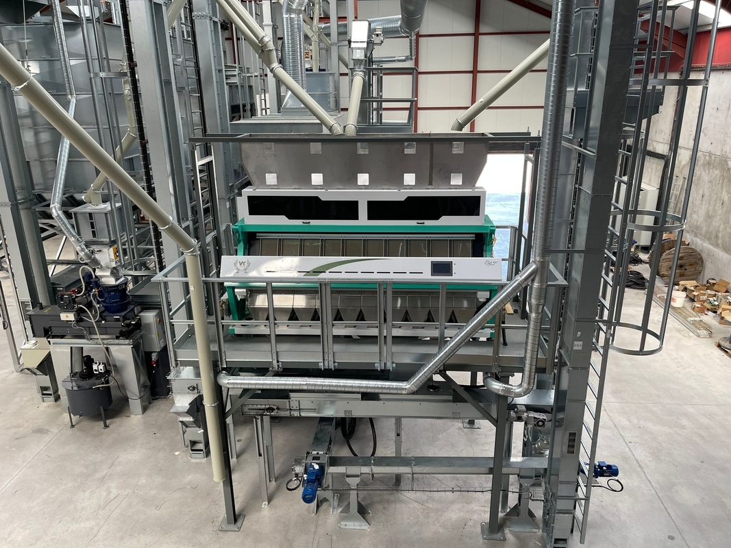 Wenyao Máquina automática de classificação de cor de arroz Separação de cor de grãos 10 Chute