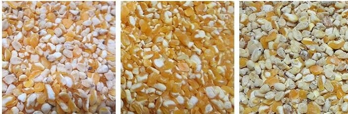 Máquina de triagem de grãos multifuncional para planta de processamento de cereais fabricada na China