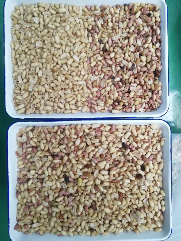 Classificador de cores preciso para uma ampla gama de estoques a granel com base na análise do produto por cor