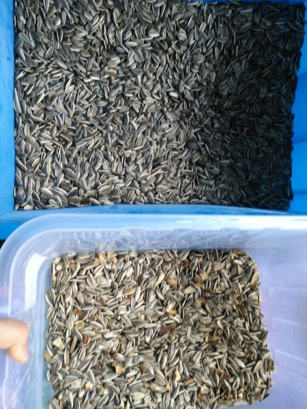 Classificador de cores preciso para uma ampla gama de estoques a granel com base na análise do produto por cor