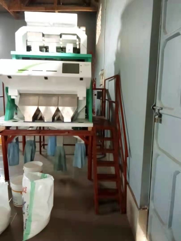 WENYAO Máquina de classificação de vermes de pão