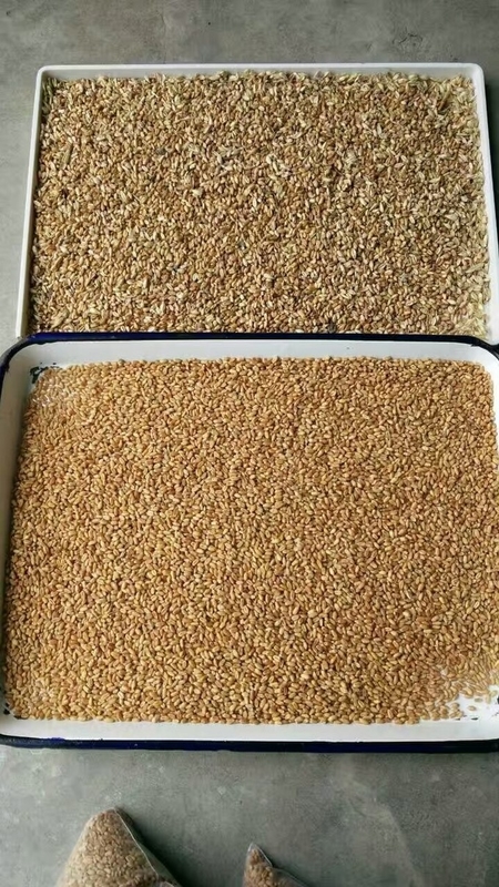 China Color Sorter Arroz Trigo Óptico Wenyao Color Sorting Machinery Alta precisão Ccd Camera 320 canais