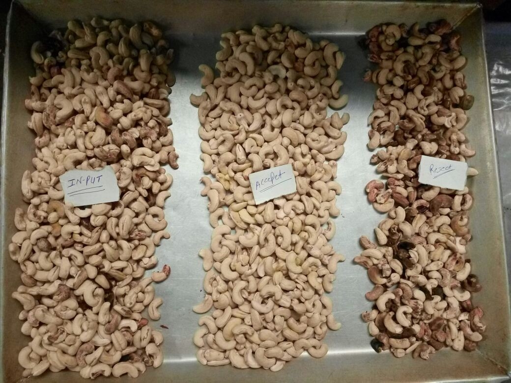 Wenyao Macadamia Color Sorter Nuts Color Selector Machine Máquina de seleção de castanhas de caju