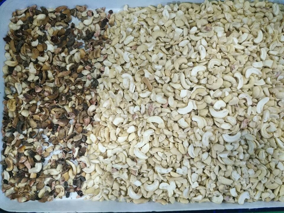Wenyao Macadamia Color Sorter Nuts Color Selector Machine Máquina de seleção de castanhas de caju