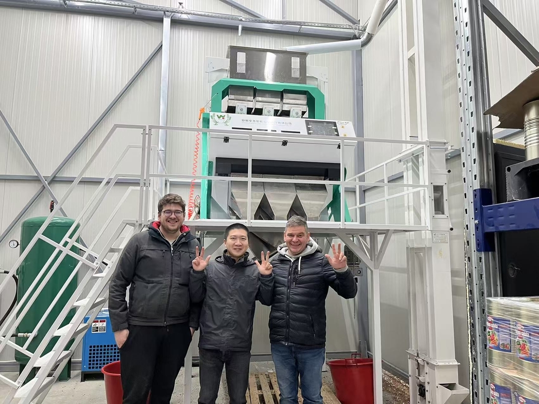 50-8000kg/h grãos de café arroz garin plástico máquina de triagem digital de cores de mirtilo amendoim máquina de triagem de cores de chá máquina de triagem de cores