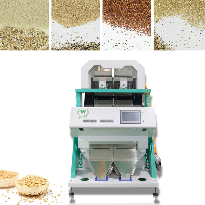 Anhui Wenyao 128 canais máquina de triagem de cores de sementes sementes para planta de processamento de sementes