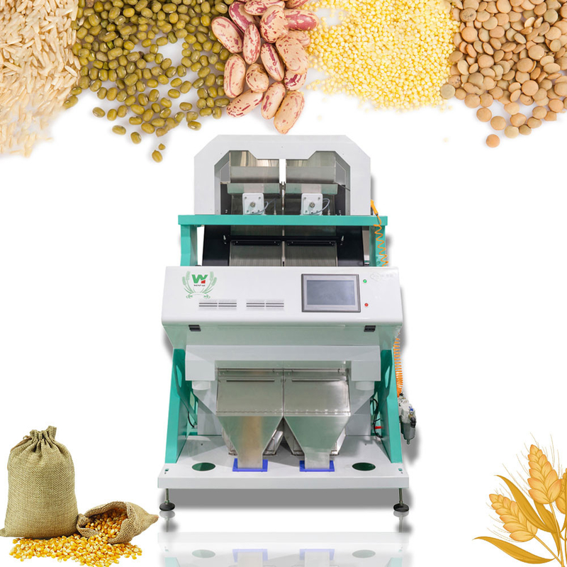 Anhui Wenyao 128 canais máquina de triagem de cores de sementes sementes para planta de processamento de sementes
