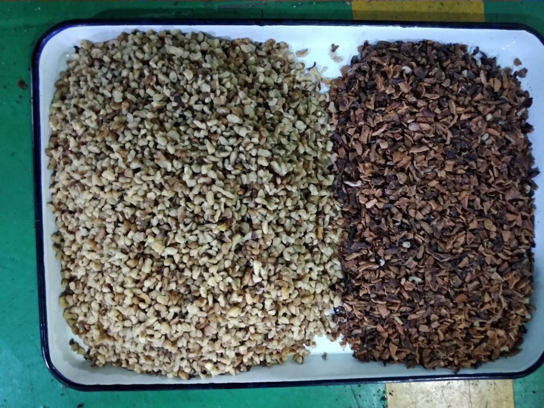 Wenyao 2 Chutes Walnut Color Sorter Máquina de classificação de tamanho e forma com certificado CE
