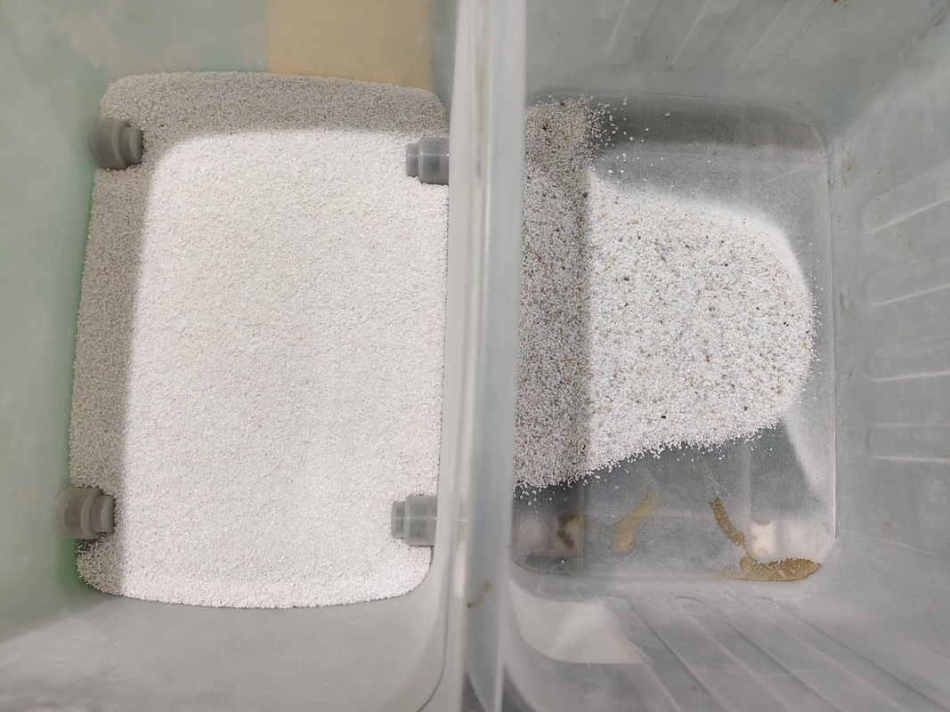 Hoppers de aço inoxidável Máquina de triagem de sal molhada com câmera full Ccd