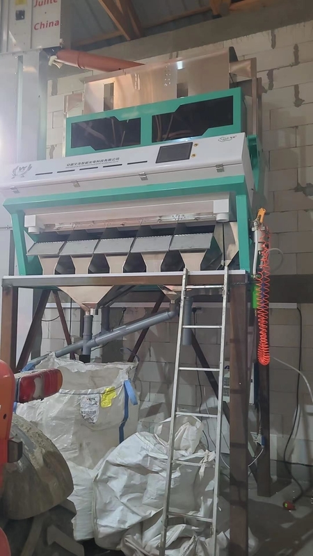 Wenyao CCD 2025 Máquina de classificação de cores de especiarias para pimenta Szechuan
