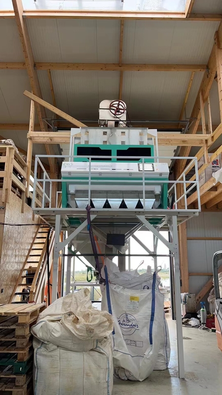Wenyao CCD 2025 Máquina de classificação de cores de especiarias para pimenta Szechuan