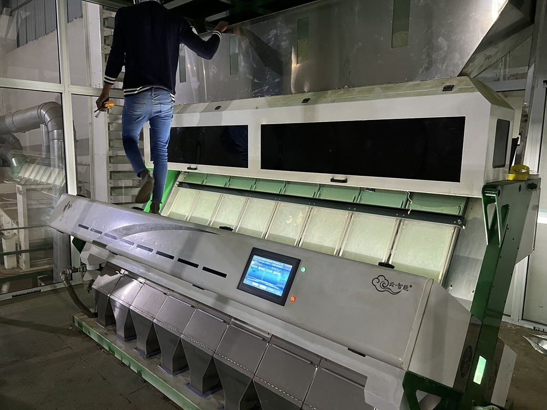 Máquina de classificação de cores de pimenta vermelha com pressão de ar de 0,6-0,8 MPa