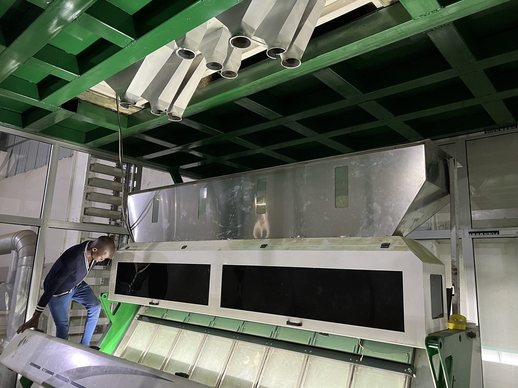 Máquina de classificação de cores de pimenta vermelha com pressão de ar de 0,6-0,8 MPa