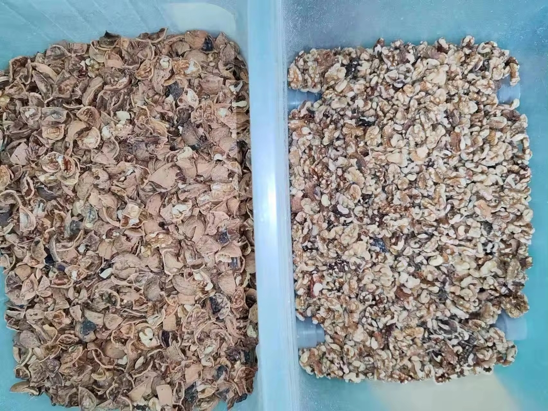 Wenyao Alta Eficiência Cinturão Máquina de Classificação de Cor Alho Frutas Secas Vegetais Camarão Peixe Color Sorter Made in China