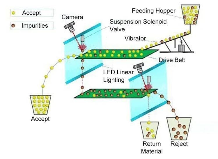 Tipo cinturão Wenyao Botelhas de plástico inteiro Caps Color Sorter Machine