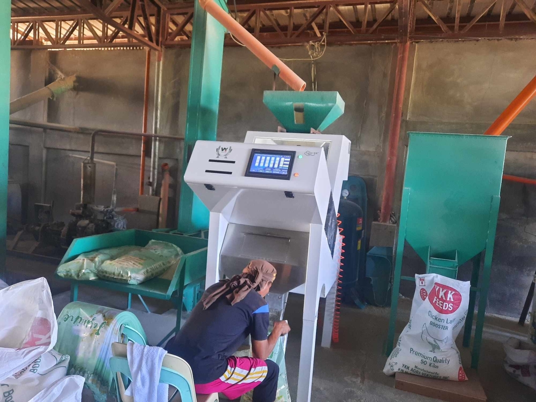 Wenyao Máquina automática de classificação de cores de passas