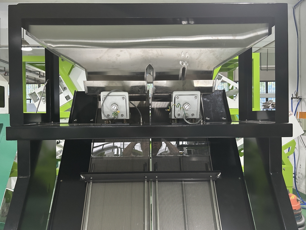 Máquina de triagem de cores da câmera Wenyao CCD Máquina automática de triagem de cores de grão de bico