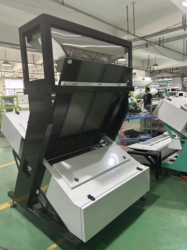 Máquina de triagem de cores da câmera Wenyao CCD Máquina automática de triagem de cores de grão de bico