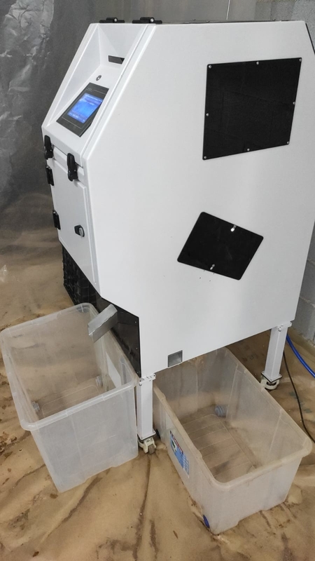 Wenyao CCD Camera Black Bean Color Sorter Máquina automática de classificação de cores