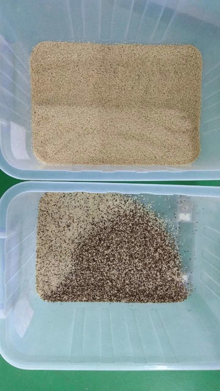Wenyao 500-1500 kg/h Grãos de café Arroz Garin Cor Ordenamento Óptico Cor Cereais Máquina de Ordenamento