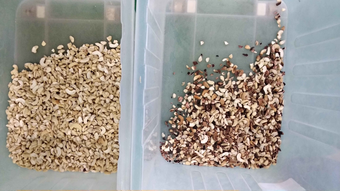 Wenyao Chute Estilo Cashew Nut Color Sorter Multifunção Nozes Color Sorting Machine