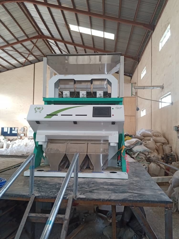 Wenyao Hazelnut Color Sorter CCD Camera Nuts Color Sorting Equipamento