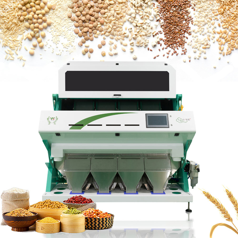 Wenyao Intelligent Color Sorter 4 Chute Máquina de Seleção de Cor de Trigo para Grãos