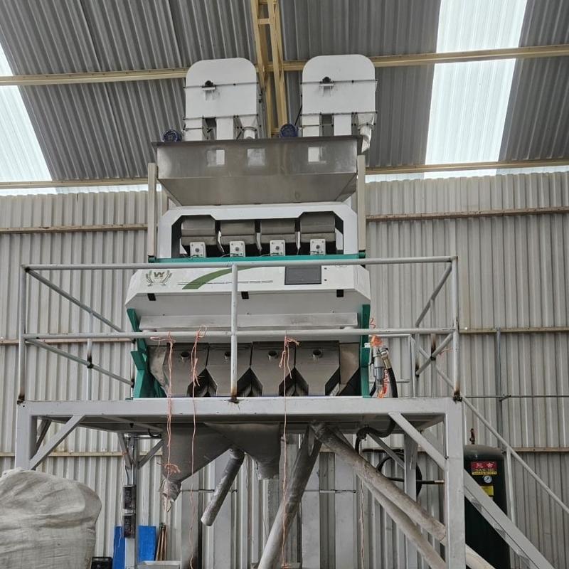 Wenyao Automático Sorteador de Cores de Avelã Multifunção Nozes Color Sorting Machine