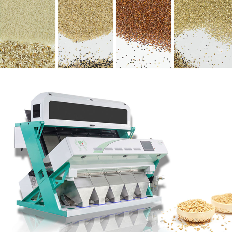 Wenyao 5 Chute Color Sorting Machine Sortador de cores de gergelim inteligente