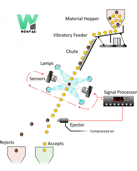 Máquina de classificação de cores de feijão preto Wenyao Máquina automática de classificação de cores de feijão com controle remoto