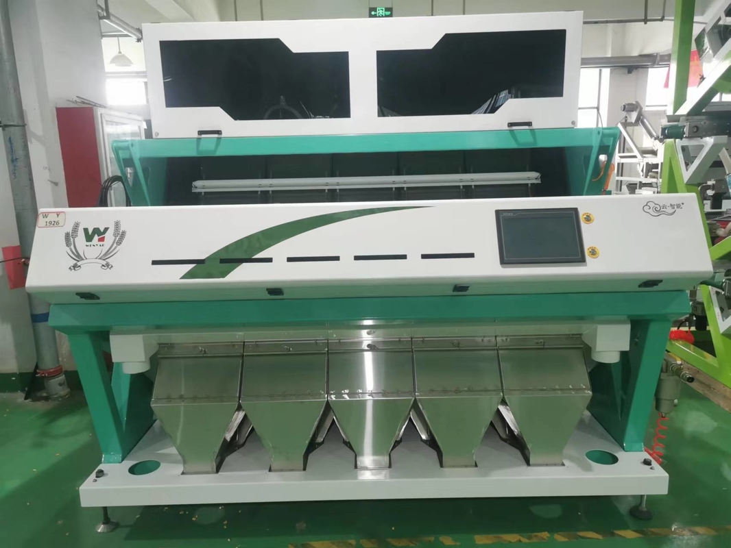 Máquina de classificação de cores CCD descascada automática de alta velocidade Máquina de classificação de cores de cravo de alho