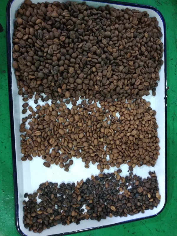 Wenyao Automático Color Sorter Máquina de Classificação de Cores de Grão de Café