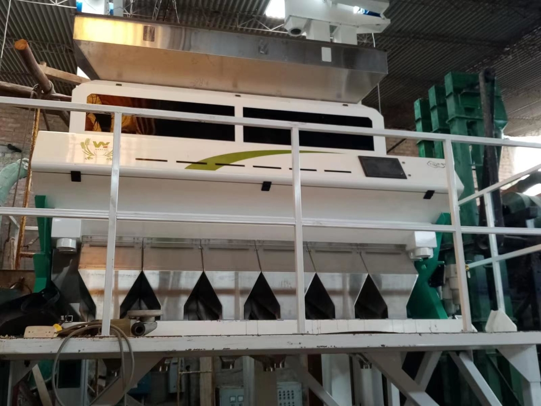 Wenyao Intelligent Color Sorter Máquina de classificação de cores de grão de bico