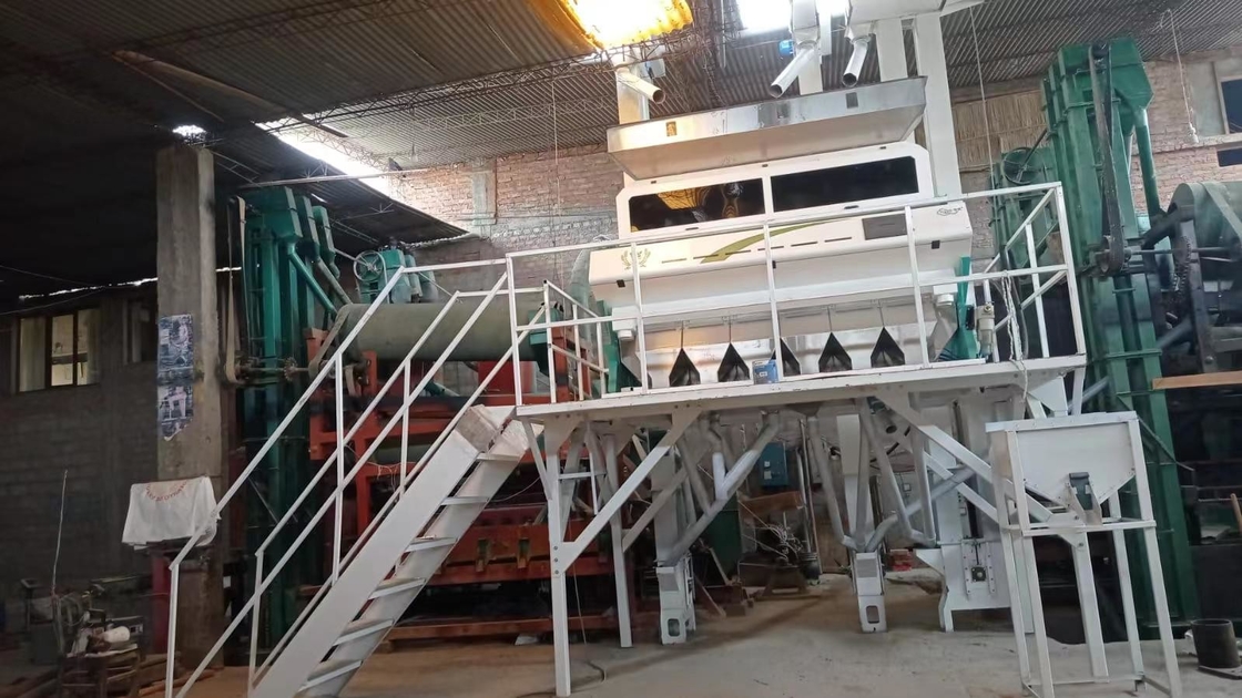 Wenyao Intelligent CCD Camera Color Sorter Peanut Color Sorting Machine (Câmera de CCD Inteligente para Classificação de Cores de Amendoim)