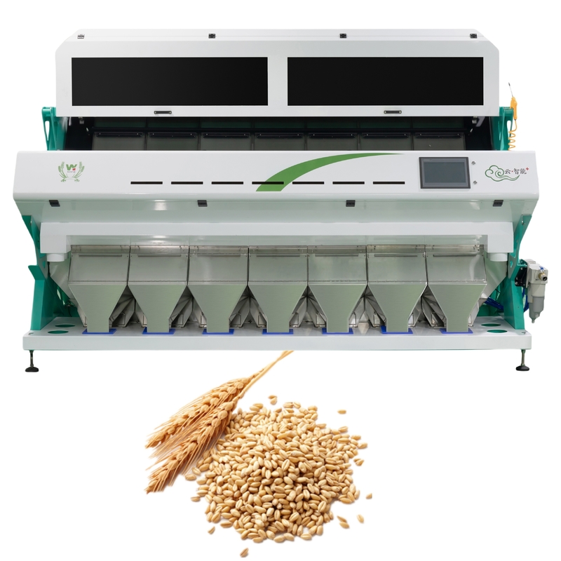 Wenyao Intelligent 7 Chute Color Separation Machine Trigo Colour Sortor