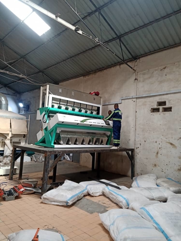 Wenyao 7 Chute fabricante chinês máquina de triagem de cores sorter de cor de grão de bico