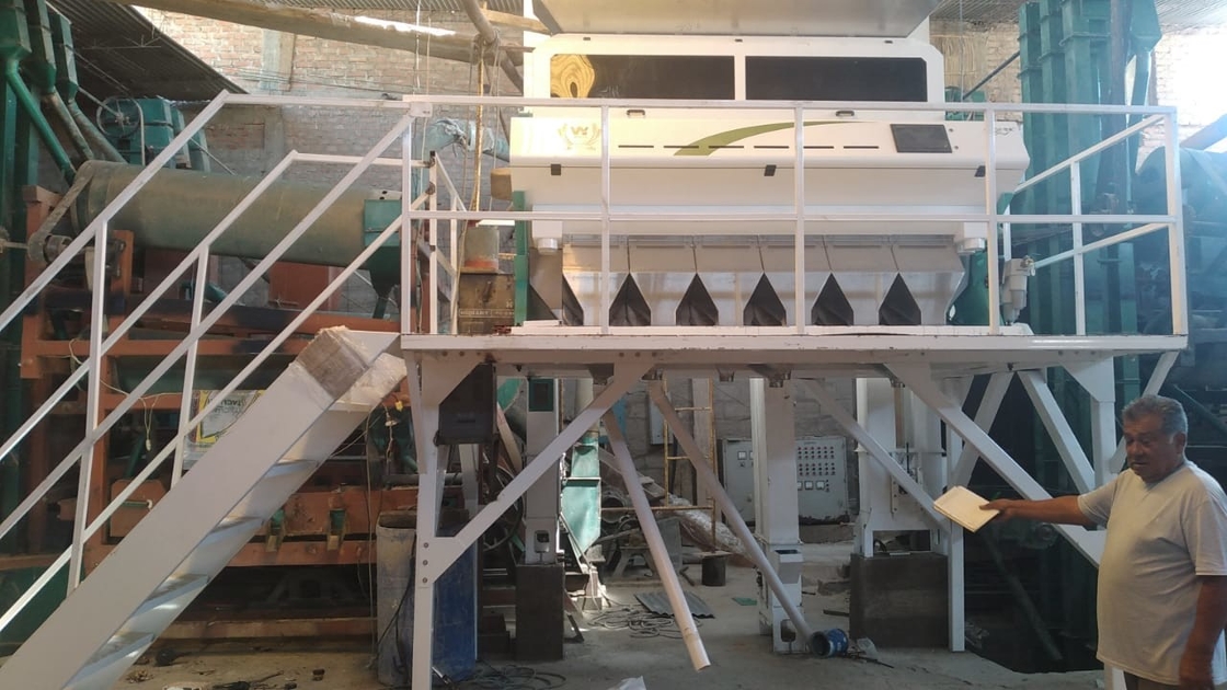 Wenyao CCD Câmera Intelligent Color Sortor Raisin Color Sorting Machine