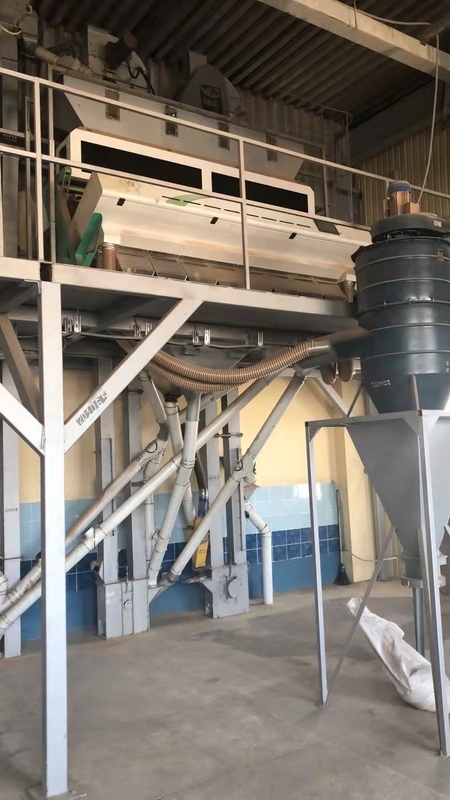 Wenyao 8 Equipamento de separação de cores de chute Máquina de classificação de cores de trigo