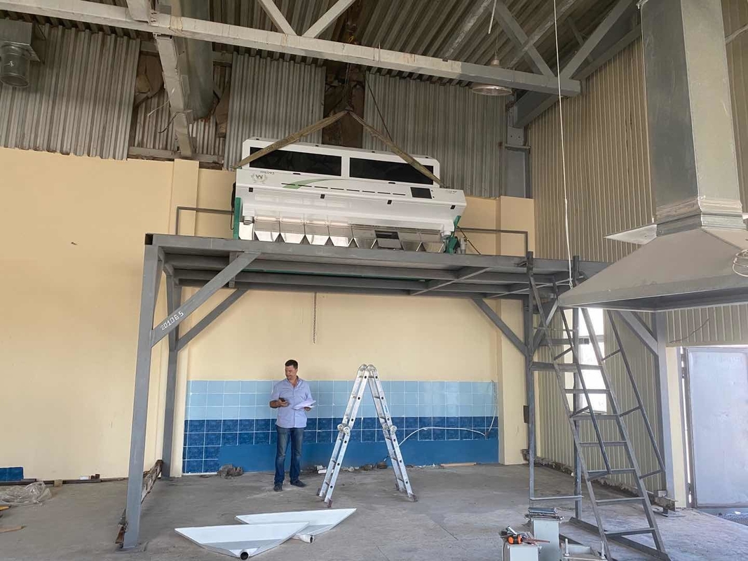 Wenyao 8 Chute Máquina de triagem de cores de grande capacidade Equipamento de triagem de cores de ervilhas