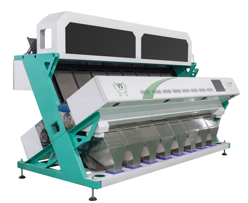 Wenyao Chute estilo grande precisão de triagem máquina de triagem de cores de grão de café