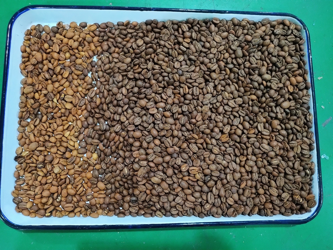 Wenyao Chute estilo grande precisão de triagem máquina de triagem de cores de grão de café